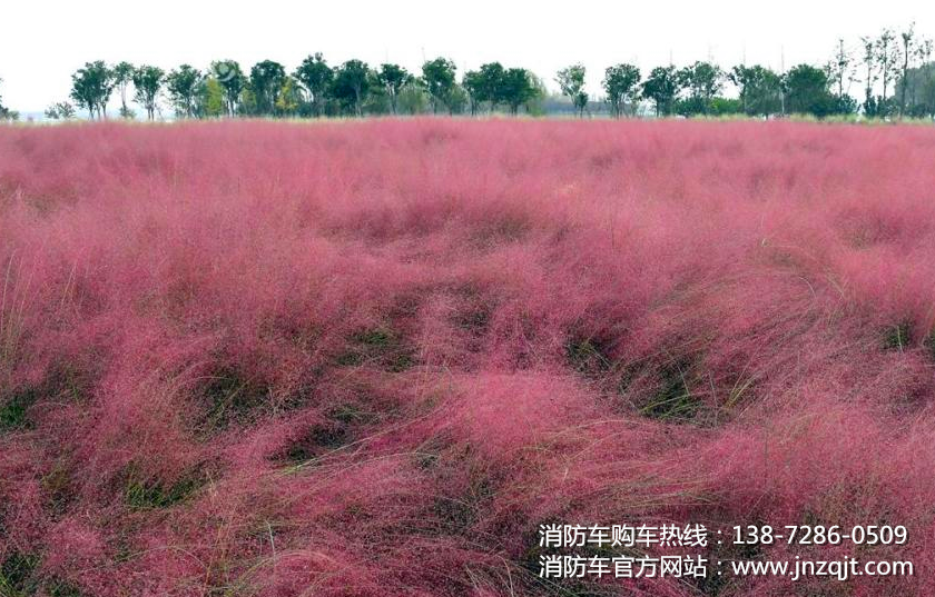 QQ圖片20171031075321.png QQ圖片20171031075321.png