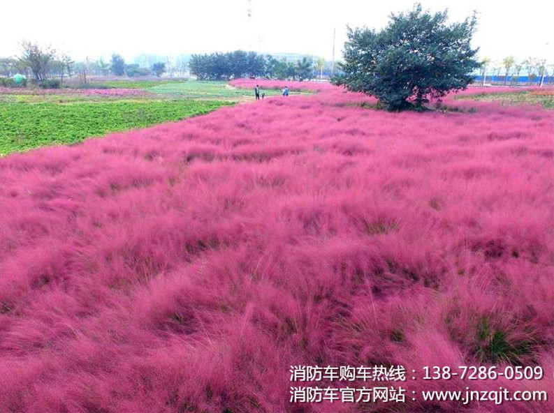 QQ圖片201710310753_副本.jpg QQ圖片201710310753_副本.jpg